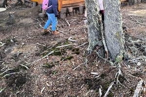 4x4 Ushuaia Aventura: Lagos Escondido y Fagnano.