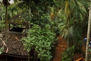 5 jours aux chutes d'Iguazu : Jungle Lodge et billet d'avion au départ de Buenos Aires