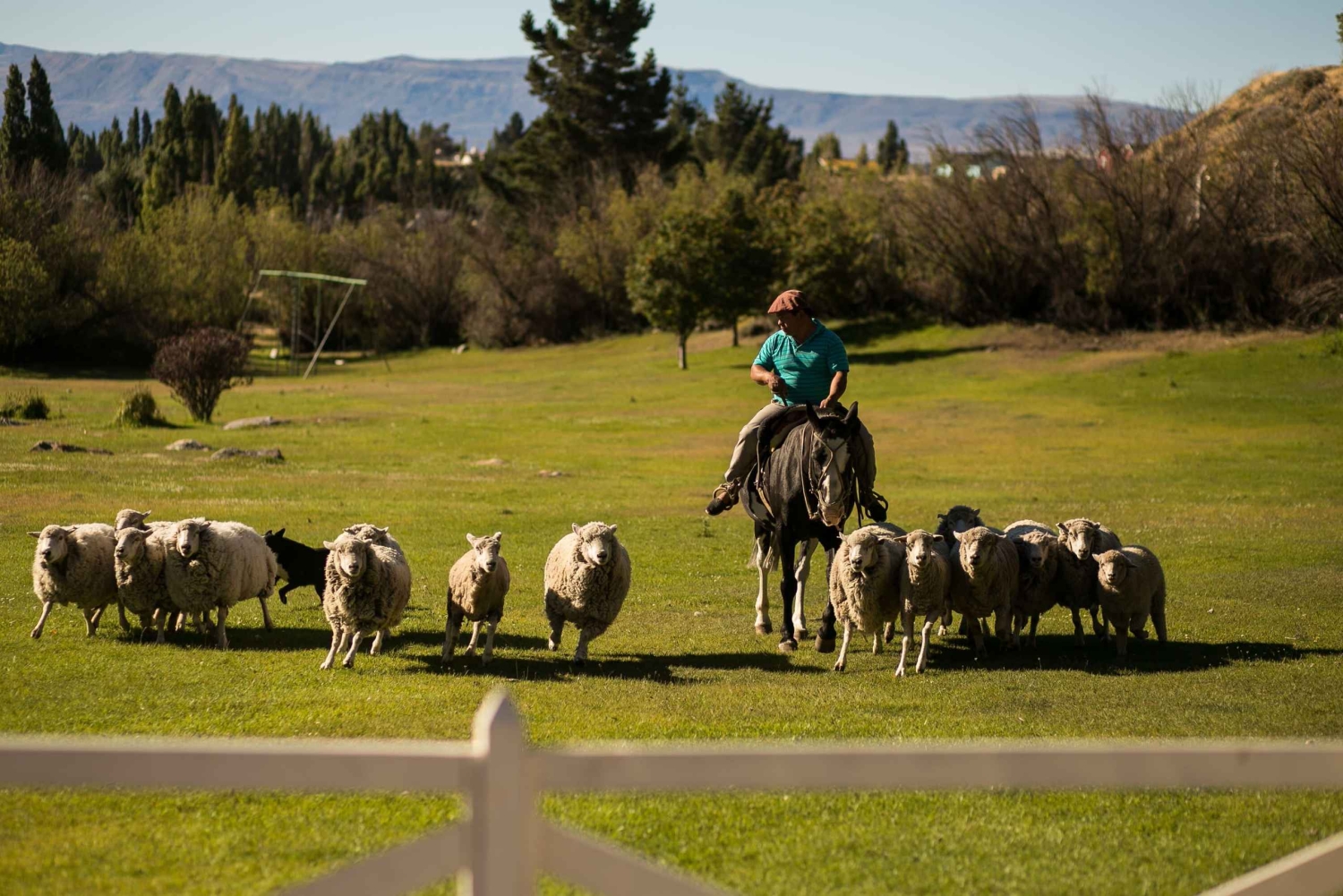 8-дневный тур «Премиум-открытие Ушуайи и Эль-Калафате»