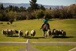 8-дневный тур «Премиум-открытие Ушуайи и Эль-Калафате»