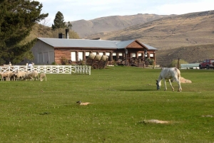 8-дневный тур «Премиум-открытие Ушуайи и Эль-Калафате»