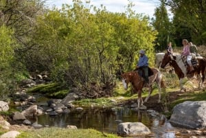 8-дневный тур «Премиум-открытие Ушуайи и Эль-Калафате»