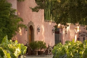 Un día de Rafting, Bodegas y Auténtico 'Asado Argentino'