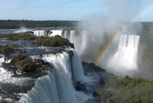 Privat - En vidunderlig dag ved Iguassu-vandfaldene på den argentinske side