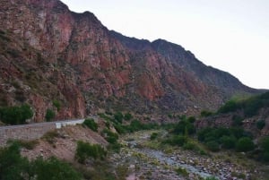 Mendoza Aconcagua Tour: Essensen af Andesbjergene