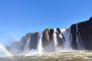 Przygoda w wodospadach Iguazu: Safari, park ptaków i wodospady