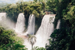 Adventure in the Argentine Waterfalls - Guided Tour