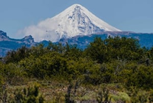 Алумине: 4-дневный тур по Патагонии с верховой ездой и проживанием