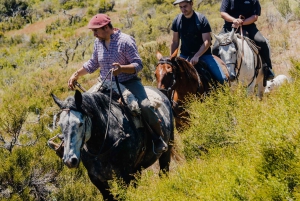 Aluminé: 4-dniowa wycieczka konna po Patagonii z noclegiem