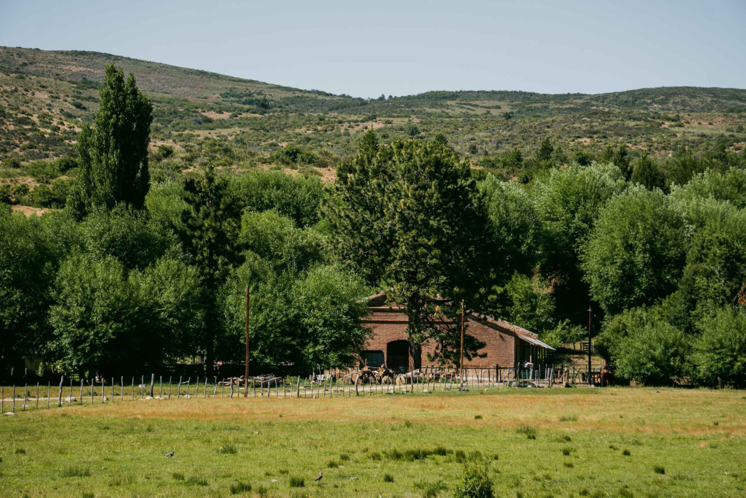 Aluminé: jednodniowa wycieczka konna z tradycyjnym asado