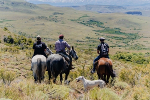 Aluminé: jednodniowa wycieczka konna z tradycyjnym asado