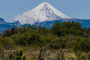 Aluminé: jednodniowa wycieczka konna z tradycyjnym asado