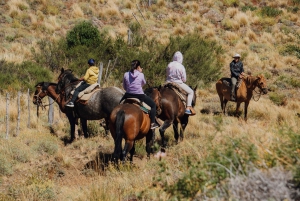 Aluminé: jednodniowa wycieczka konna z tradycyjnym asado