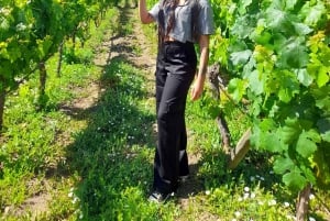 Andes Portillo & Aconcagua-vintur, semi-privat