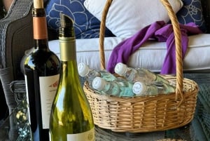 Andes Portillo & Aconcagua-vintur, semi-privat