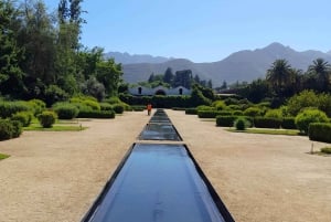 Andes Portillo & Aconcagua-vintur, semi-privat