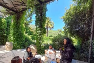 Andes Portillo & Aconcagua-vintur, semi-privat