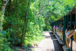 Argentina: Excursão de dia inteiro às Cataratas do Iguaçu e grande aventura