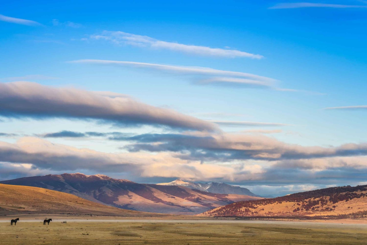 Argentina: Gaucho-rideeventyr i Pampas + frokost