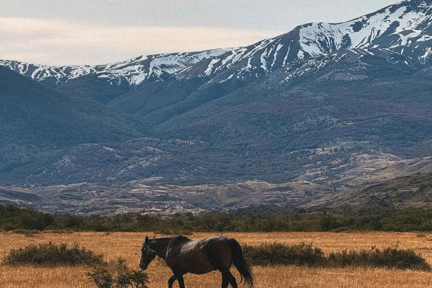 Argentina: Gaucho-rideeventyr i Pampas + frokost