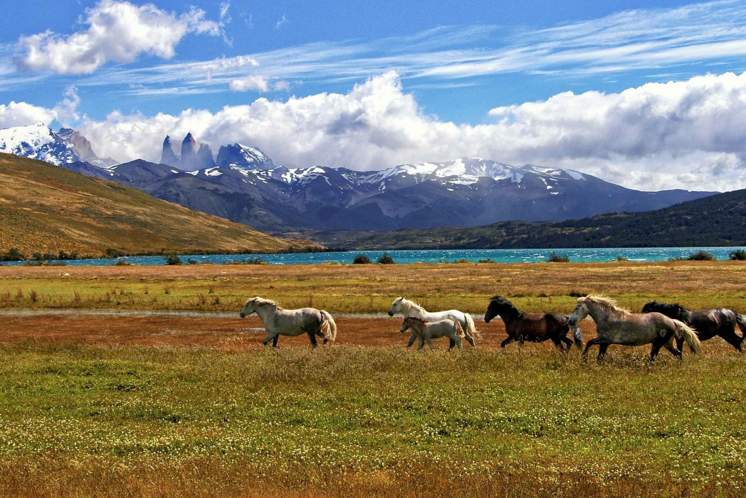 Argentina: Gaucho-rideeventyr i Pampas + frokost