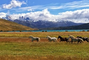 Argentina: Gaucho-rideeventyr i Pampas + frokost