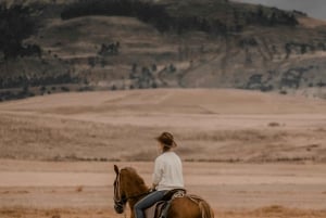 Argentina: Gaucho-rideeventyr i Pampas + frokost