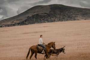 Argentina: Gaucho-rideeventyr i Pampas + frokost