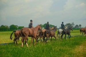 Argentina: avventura a cavallo con i gaucho nella Pampa