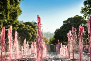 Mendoza: Historical Guided Walking Tour
