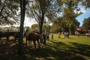 Аргентина: верховая езда в эстансии Ла Бамба де Ареко