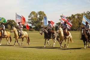 Аргентина: верховая езда в эстансии Ла Бамба де Ареко