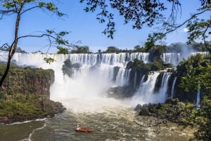 Argentina Iguazu Falls Bus Tour
