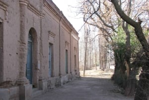 Argentina: Los Reyunos Tour di mezza giornata nel pomeriggio, visita a Rio Diamante