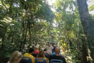 ARGENTINA VATTENFALL PRIVAT