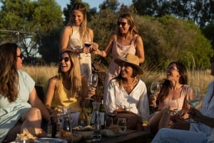Asado Argentino + Visit 2 Wineries + Transportation included