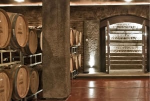 Asado Argentino + Visit 2 Wineries + Transportation included