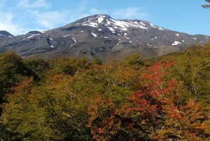 Ascenso al volcán Quetrupillán 2370msnm, desde Pucón