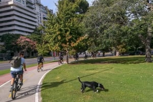 BA: Tour en bicicleta de día completo, gastronomía y cultura, máximo 6 personas.
