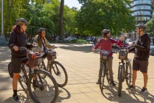 BA: Tour en bicicleta de día completo, gastronomía y cultura, máximo 6 personas.
