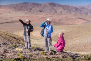 Back to the Heights: Great Salt Flats Tour
