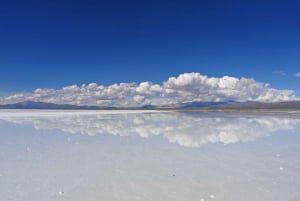 Från Salta: Dagstur till de stora saltslätterna