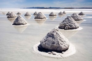 Vanuit Salta: Grote zoutvlakten dagtocht