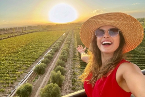 Balloon Ride in Mendoza – Argentina