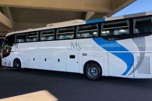 Bariloche: 1-Way or Round-Trip BRC Airport Transfer