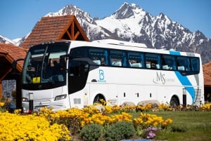 Bariloche: 1-Way or Round-Trip BRC Airport Transfer
