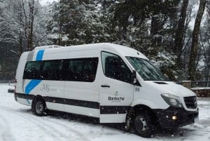 Bariloche: 1-Way or Round-Trip BRC Airport Transfer