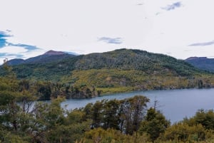 Bariloche: tour a los 7 lagos y San Martín de los Andes