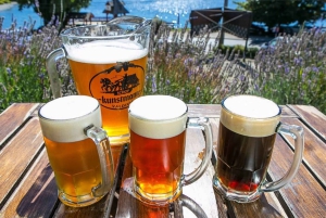 Bariloche: Bar Crawl. Patagonian Bar Crawl