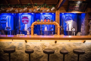 Bariloche: Bar Crawl. Patagonian Bar Crawl